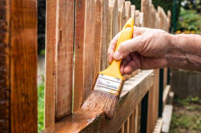 Residential Fence Painting