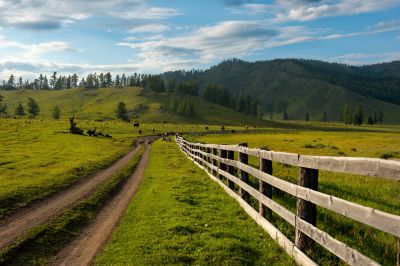 Field Fence Installation