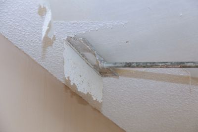 Textured Ceiling Removal - Ceiling Removal Macomb, Michigan