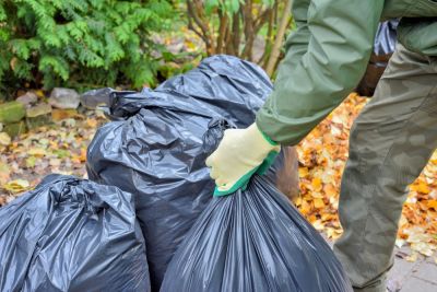 Yard Debris Removal