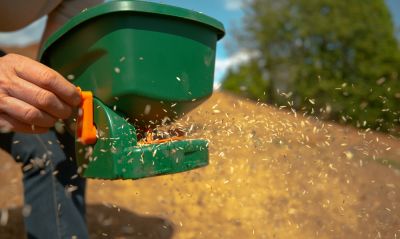 Lawn Reseeding