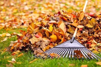 Leaf Blowing