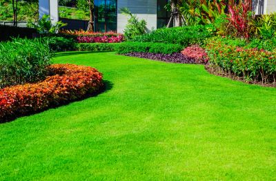 Residential Lawn Seeding