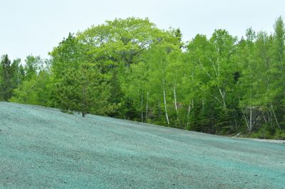 Lawn Hydroseeding